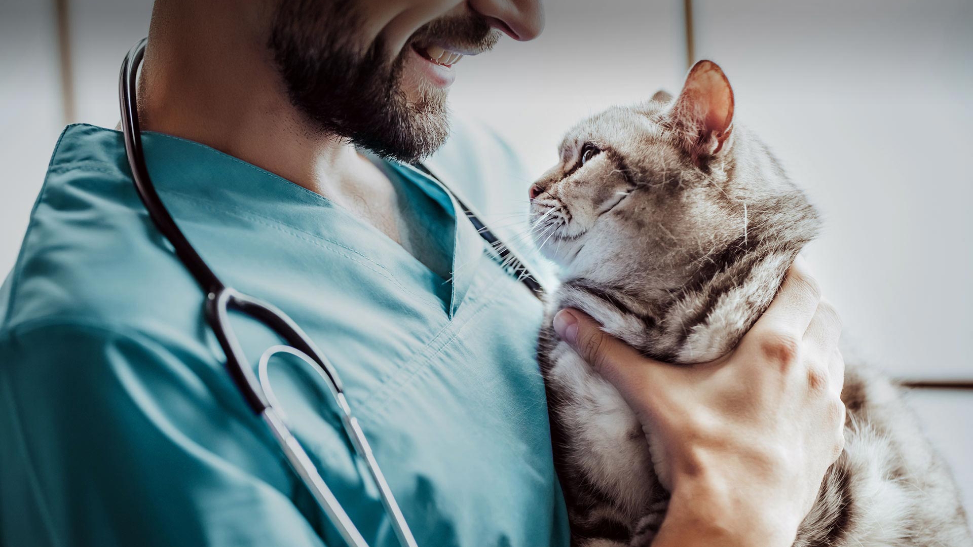 Karaisalı Veteriner